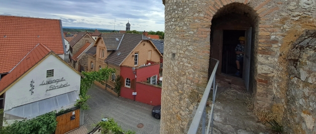 Mauer Flörsheim Dalsheim